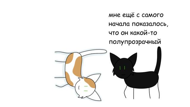Коты-воители. История Остролистой ~ в двух словах