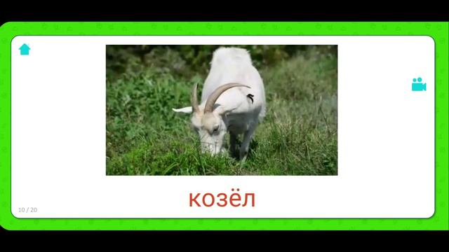 Карточки Домана для самых маленьких. Домашние животные