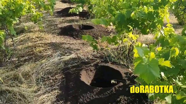 ✅Бурение мотобуром #Vitals в саду, шнек 300мм, скорость бурения, отзывы doRABOTKA