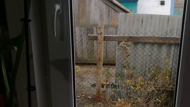 Что случилось пока не жила дома. Живу в деревне