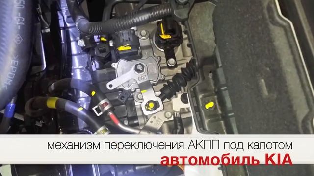 GEARLOCK ЭЛЕКТРОМЕХАНИЧЕСКИЙ ИЛИ МЕХАНИЧЕСКИЙ ЗАМОК КАПОТА И КПП