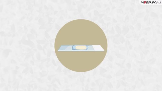 Биология – наука о живой природе