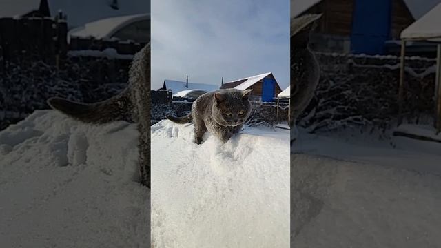 Отличное настроение???