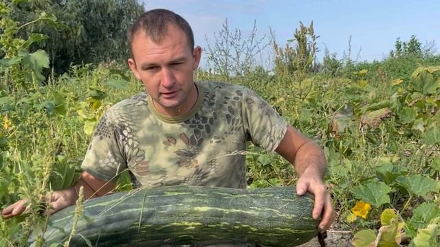 Утро в деревне ?