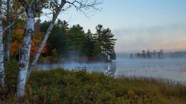 Завораживающие звуки природы пение птиц, для расслабления, снятия стресса, умиротворения, сна.