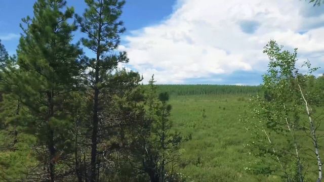 Таежные приключения