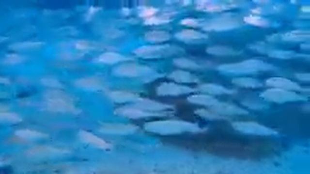 Успокаивающая музыка для нервов/ лечебная музыка для сердца и сосудов /релакс музыка для души .