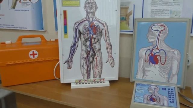 Профессия Фельдшер ГБПОУ НО НМК