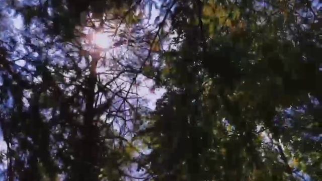 Фильм к 200-летию со дня рождения драматурга Александра Николаевича Островского