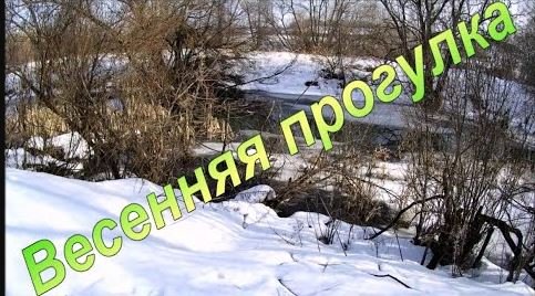 Весенняя прогулка.
