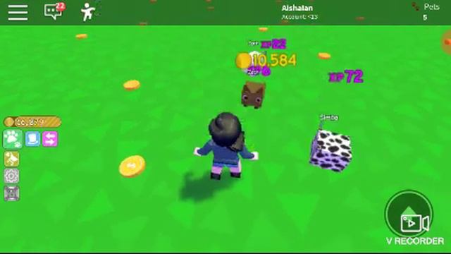 Играем в роблокс симулятор животных.