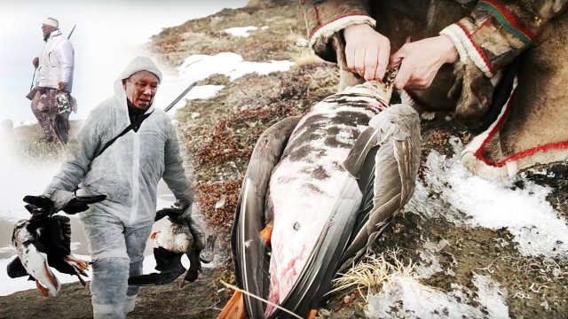 С Полем!: “Ненцы и Гуси” часть 2