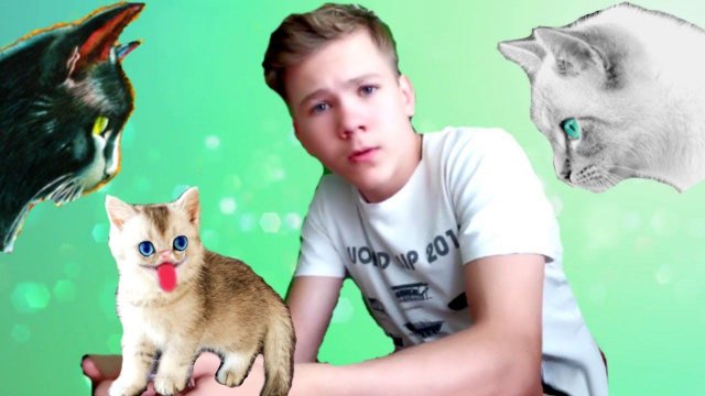 ЧЁРНУЮ Кошку! ПОБЕДИЛ маленький КОТЁНОК! и Белую ТОЖЕ!!!