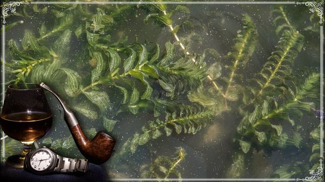 Я не хочу любить в размашку, я не хочу любить в разнос