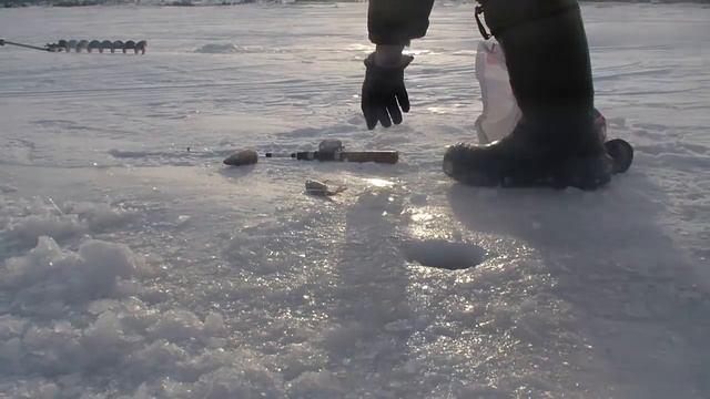 Ленок на балансир, зимняя рыбалка