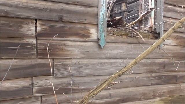 Деревянный зелёный дом сгорел. Сгоревший дом на улице. Улица Степана Разина. Город Орёл