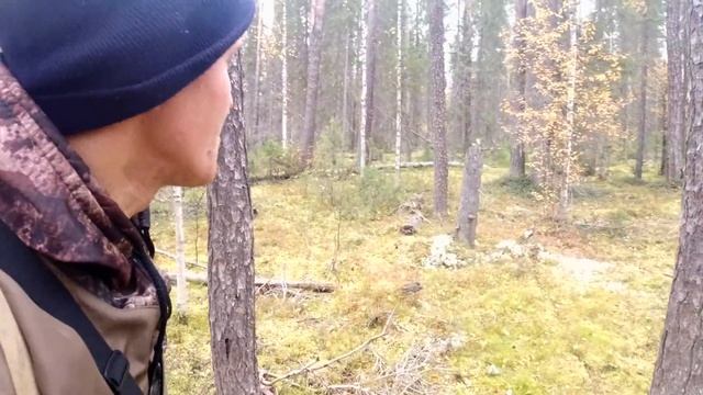 Проверка ловушек на боровую дичь. На дедовской тропе.