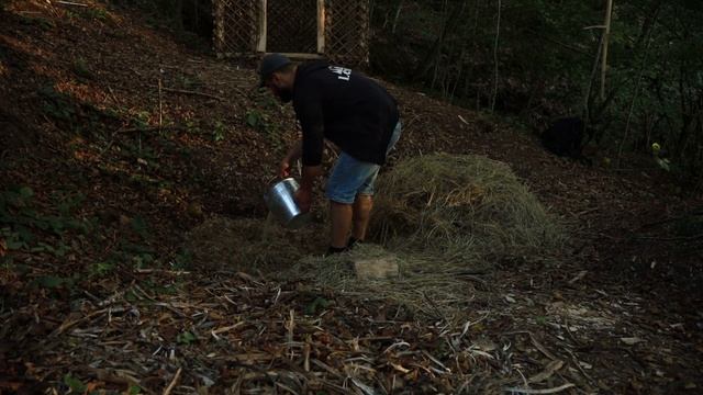 Хижина в лесу лесная ХИЖИНА своими руками из подручных материалов бушкрафт