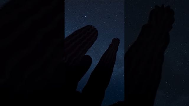 Загадочные цветы на кактусе... #Shorts #Шортс