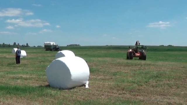 Заготовка сенажа в рулонах