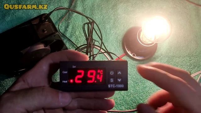 Терморегулятор stc 1000 подключения и настройки для Инкубатора брудер Термостат