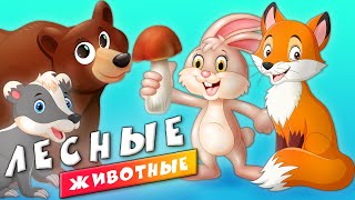 Животные - Лесные Животные для детей - Развивающие видео для малышей.mp