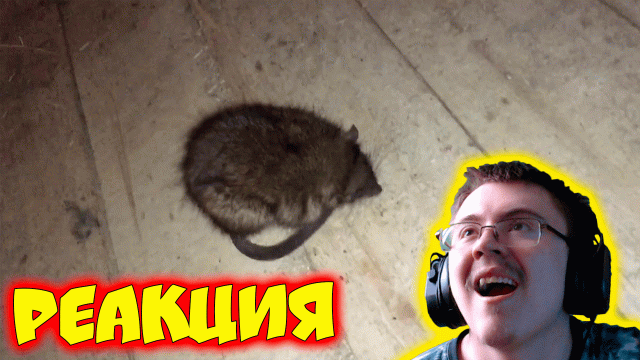 влад ( kriper2004 live ) | Реакция