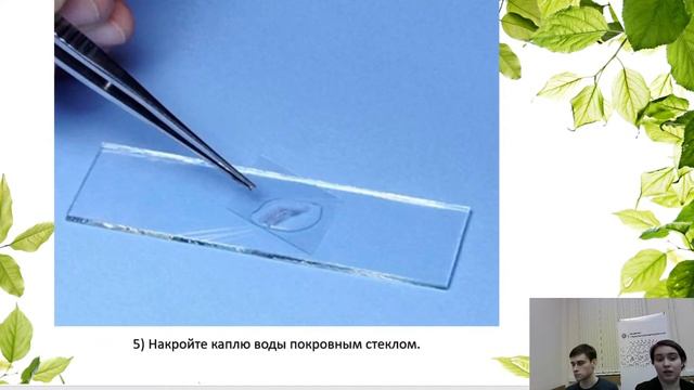 5К Биология: «Лабораторная работа «Строение кожицы чешуи лука»