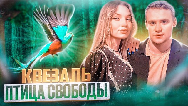 Животный мир. Квезаль - самая красивая птица.