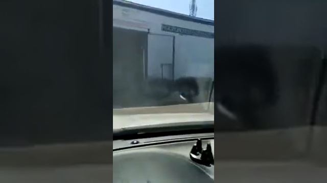 Автосервис самообслуживания Сами с руками