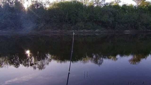 КЛЁВА НЕ БЫЛО, НО КЛЁВО БЫЛО!!!