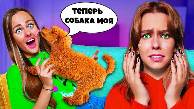 НАША СОБАКА ВСТРЕТИЛА ХОЗЯЙКУ ПОСЛЕ МЕСЯЦА РАЗЛУКИ