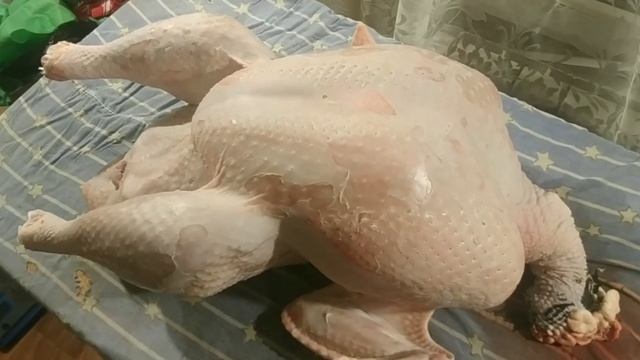 Обзор индюков Бронза 708.