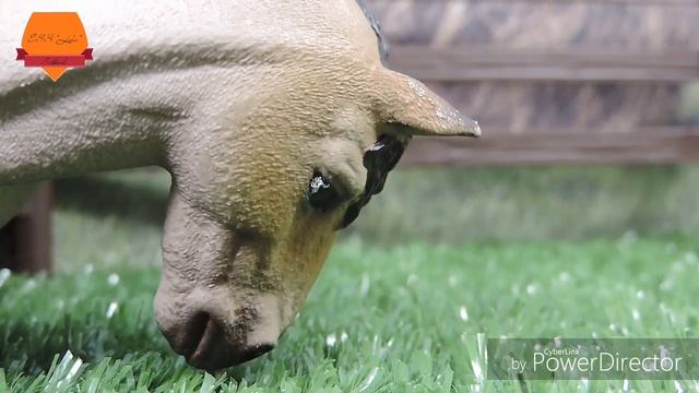 ТИПЫ ЛОШАДЕЙ | SCHLEICH