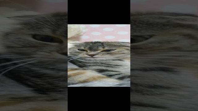 жизнь Строителя