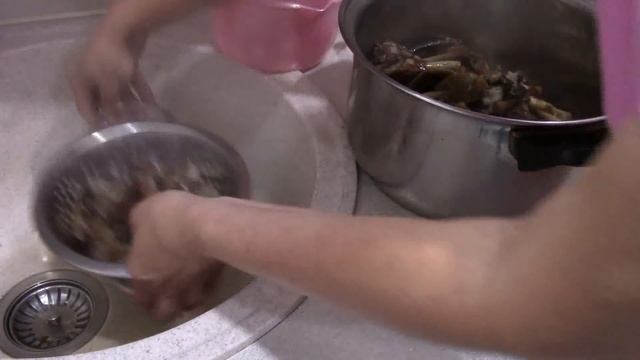 Как правильно и сколько по времени отварить грибы опята