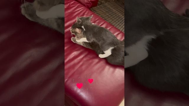 ❤️❤️❤️