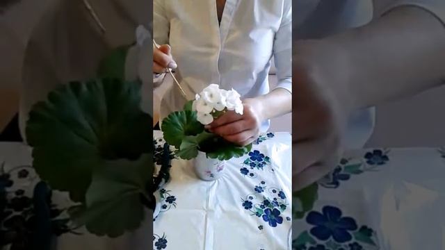 Цветочный бал. Композиция в домашних условиях