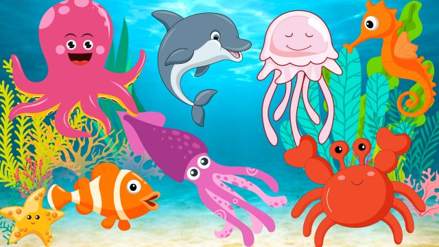 Морские животные для детей  Подводный мир  Морские обитатели для детей