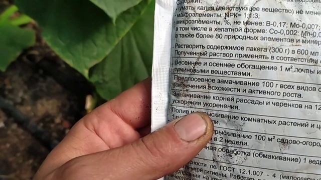 Подкормка огурцов гумат калия!