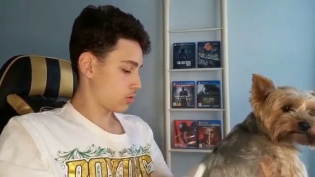 Что делать если родители НЕ разрешают завести собачку ??!!