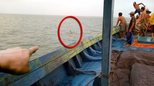 Посмотрите! Это Видео Невозможно Объяснить
