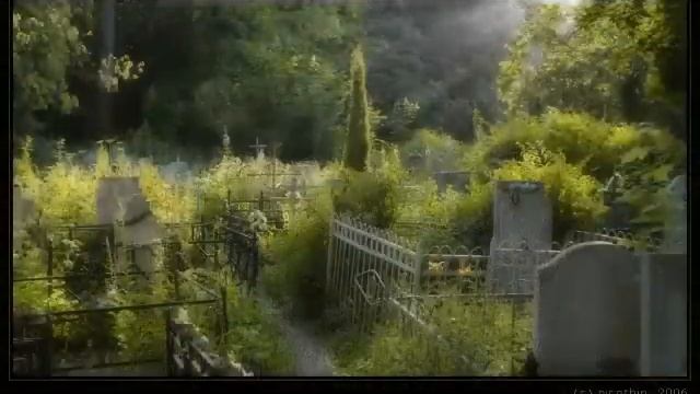 Стихи о природе