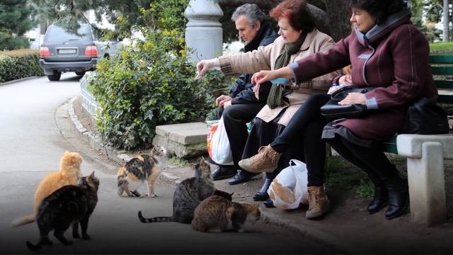 БЛАГОТВОРИТЕЛЬНОСТЬ: С ЧЕГО НАЧАТЬ?