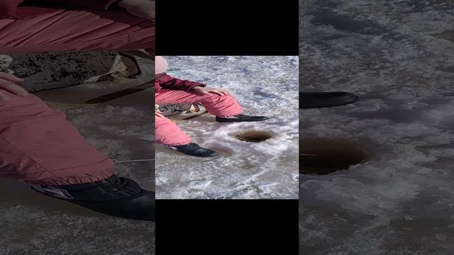 VID_20230317_160624.mp4