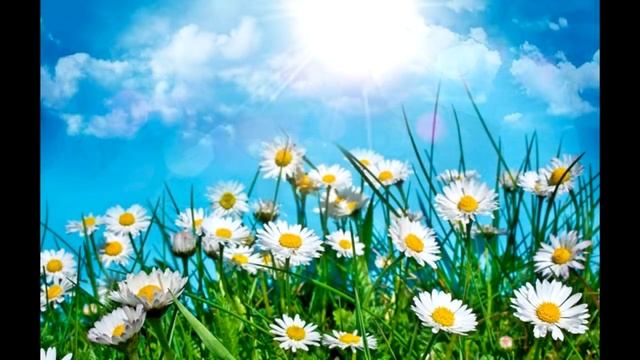 Народные приметы про картины