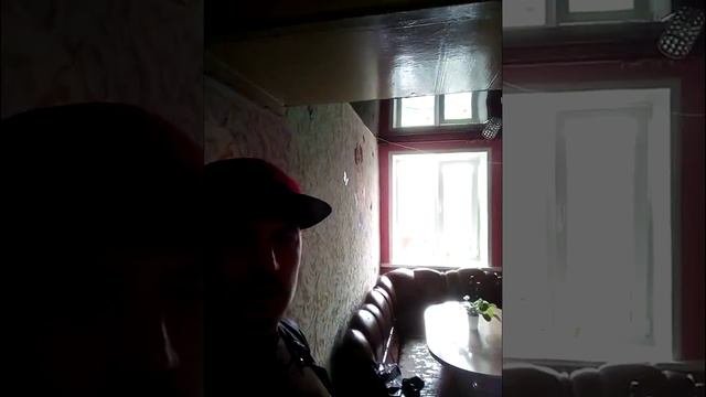 Обзор и отзыв от Светланы