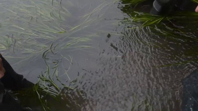 Путешествие по Сахалину. Часть 1. Природа Сахалина. Остров Сахалин 2019