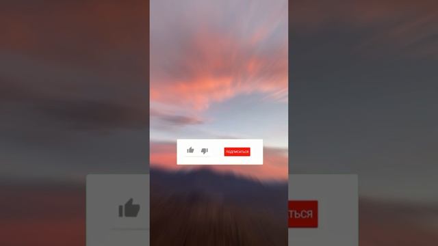 СООБЩЕСТВО СВЕТА