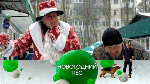 «Новогодний Пёс» — 31 декабря в 18:35 на НТВ